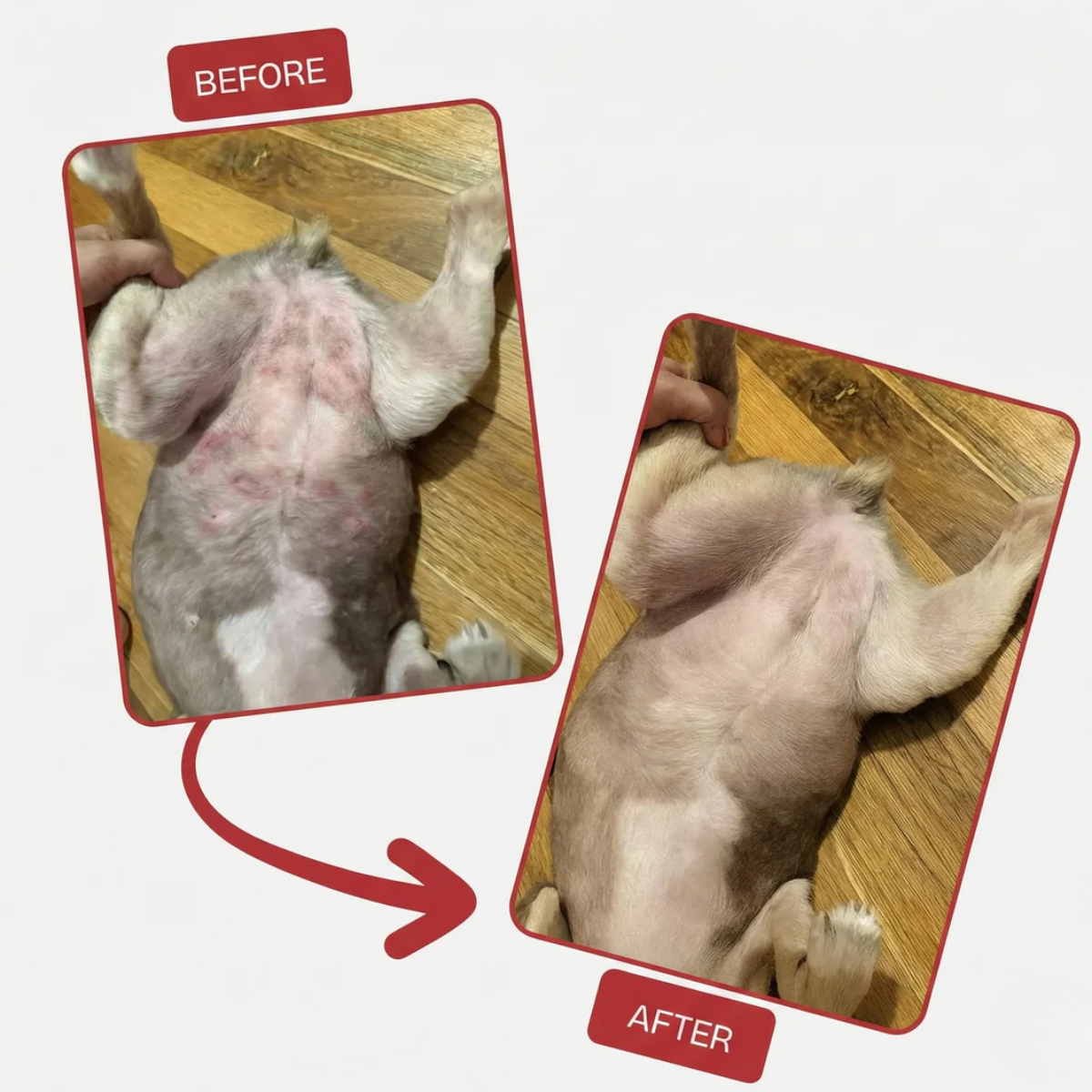 Nivora® Recovery Spray