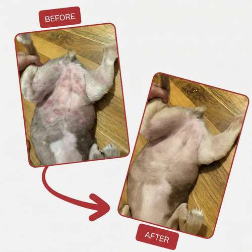 Nivora® Recovery Spray