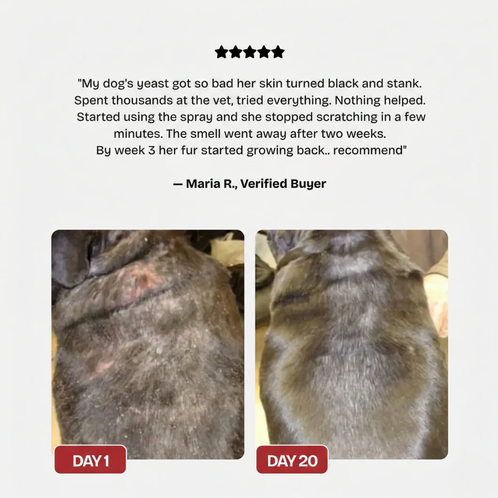 Nivora® Recovery Spray