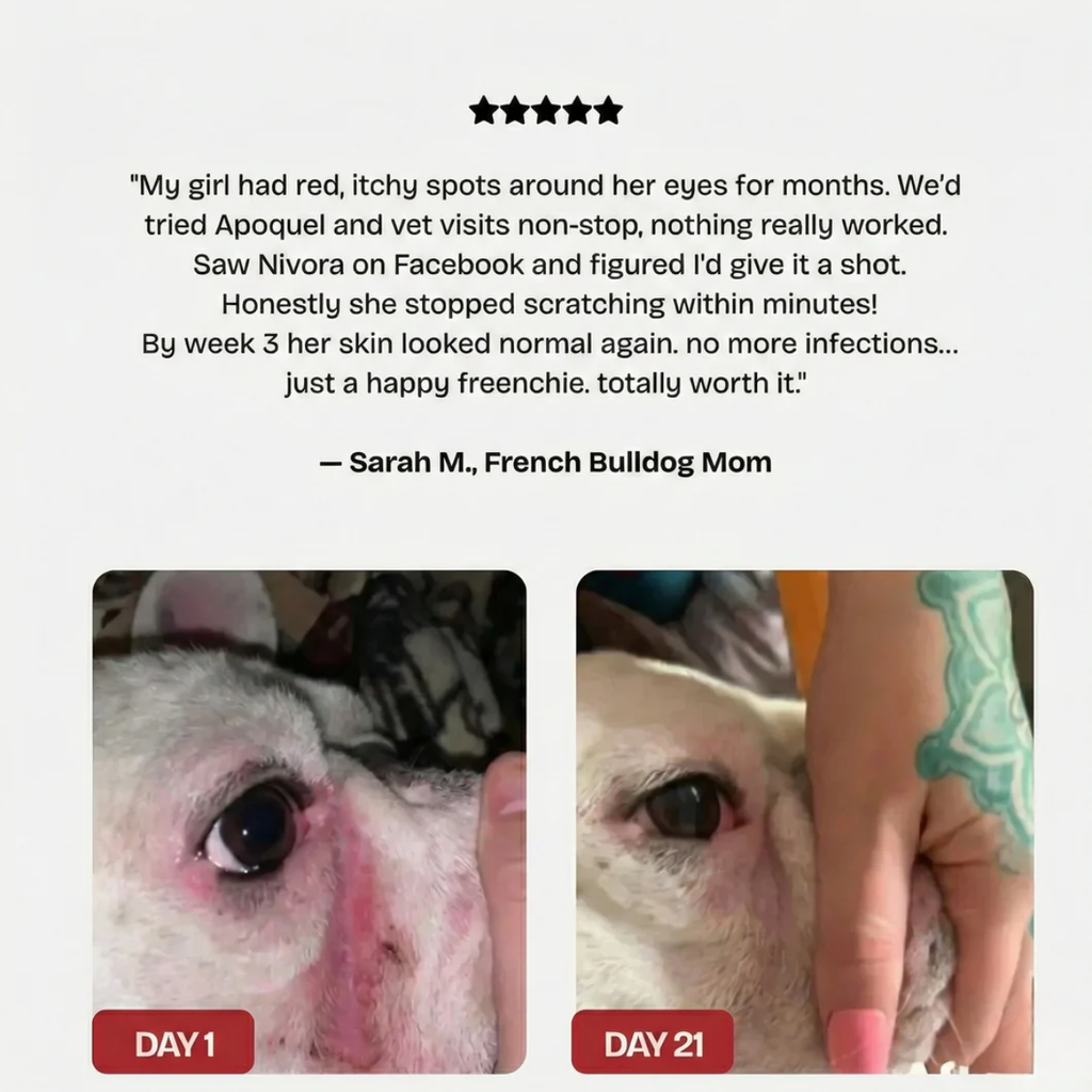 Nivora® Recovery Spray