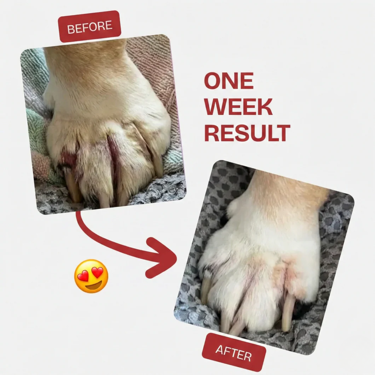 Nivora® Recovery Spray