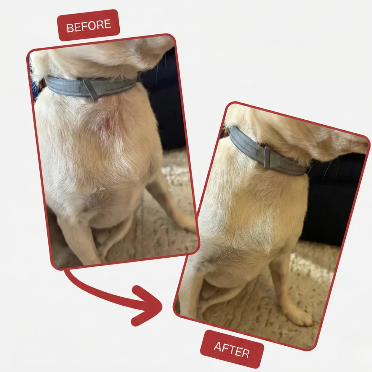 Nivora® Recovery Spray